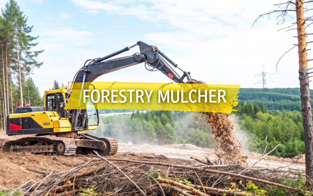 A Complete Guide to the Excavator Forestry Mulcher