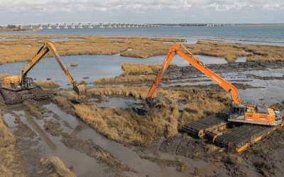 Project Planning: Budgeting and Deployment of Amphibious Fleet